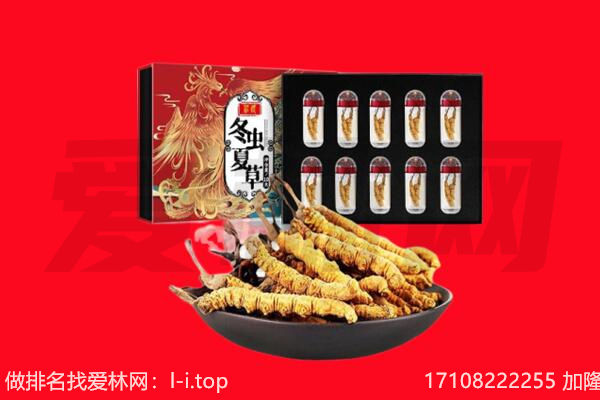 仓山区回收虫草.jpg